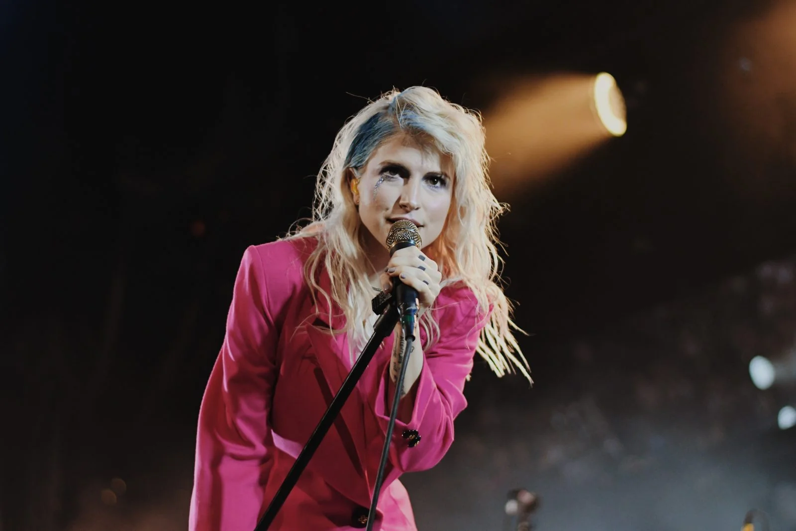 Hayley Williams Net Worth